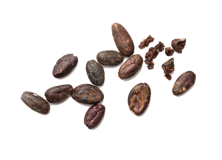 Koko Balm Cocoa Beans